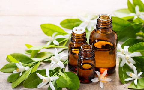 تصویر 4 از قیمت عرق بهار نارنج شیراز با کیفیت ارزان + خرید عمده